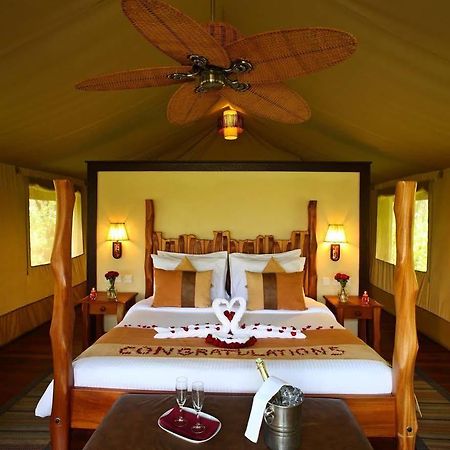 Sarova Mara Game Camp Otel Mara Simba Dış mekan fotoğraf